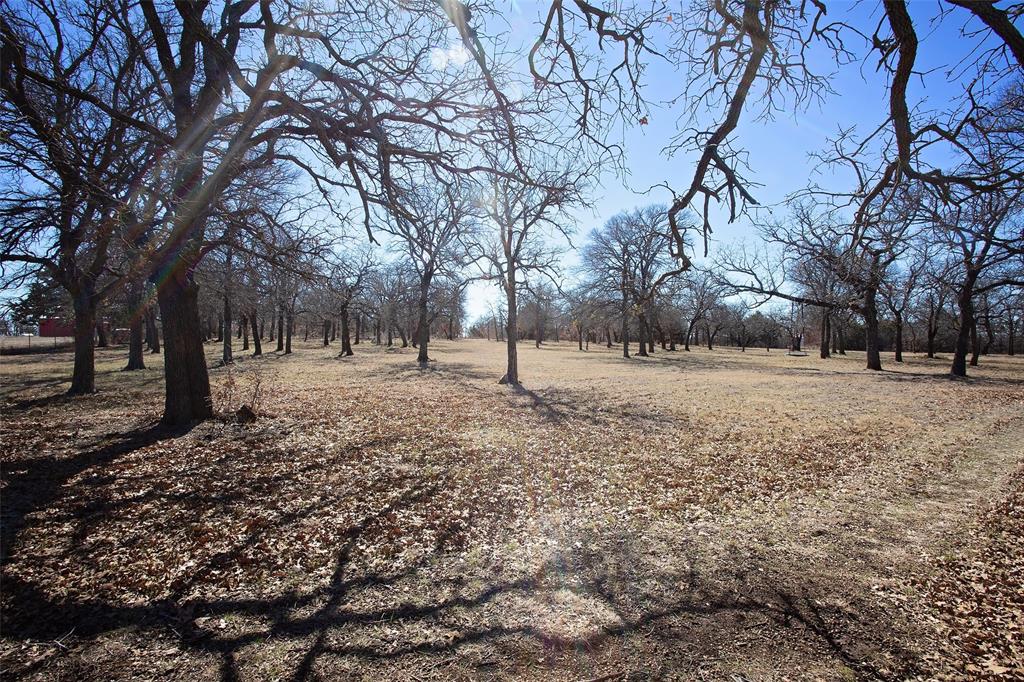 1250 Canyon Road Graham, TX 76450 - Photo 36 of 40 a view of empty space with tree