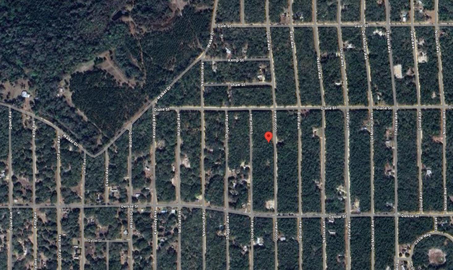 523 Gloria Avenue Interlachen, FL 32148 - Photo 3 of 5 a view of a black gate