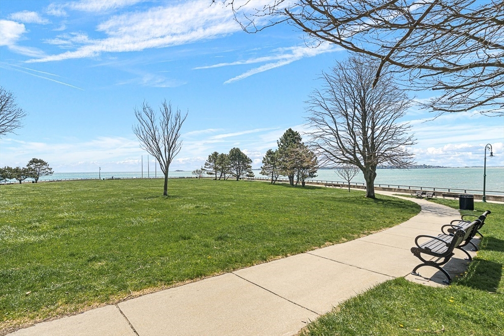18 St Clair Street, Unit 3 Lynn, MA 01902 - Photo 29 of 36 a view of a park with large trees