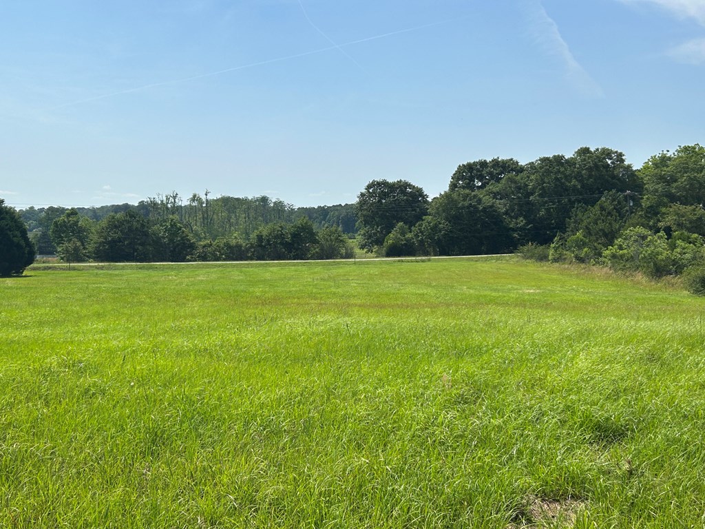 2807 Eddins Road Dothan, AL 36301 - Photo 4 of 7