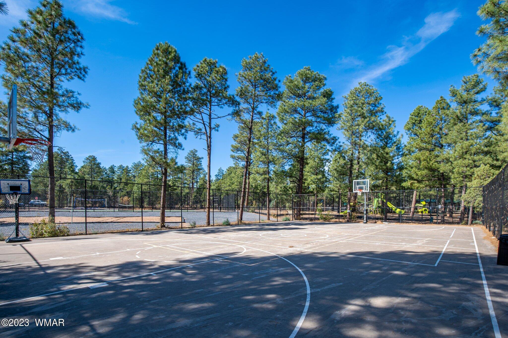 1591 South Falling Leaf Road Show Low, AZ 85901 - Photo 54 of 56 Basketball Courts