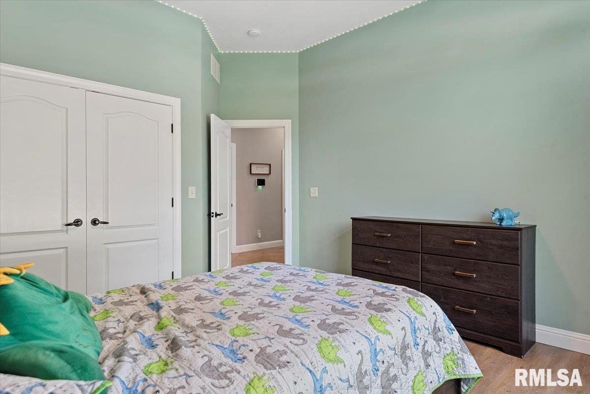 207 Cumberland Drive Rochester, IL 62563 - Photo 48 of 100 Gallery Image 48