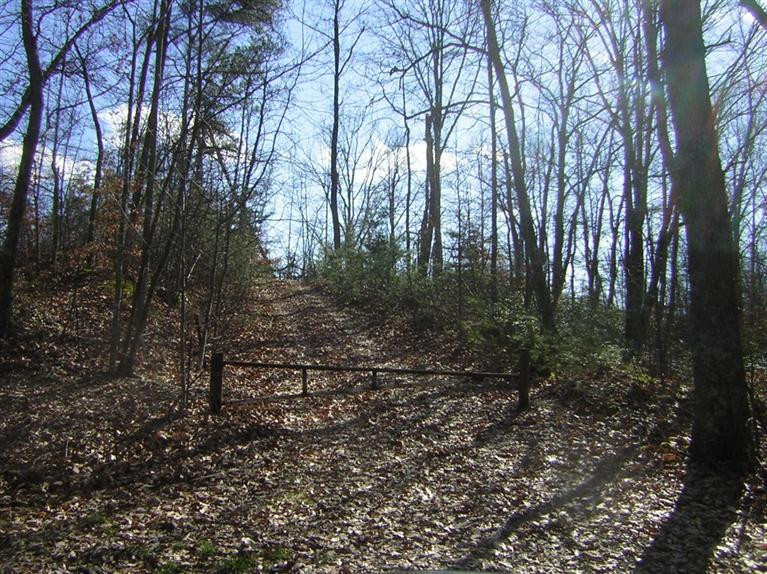0 Pilot Road Stanton, KY 40380 - Photo 6 of 6 Photo 6