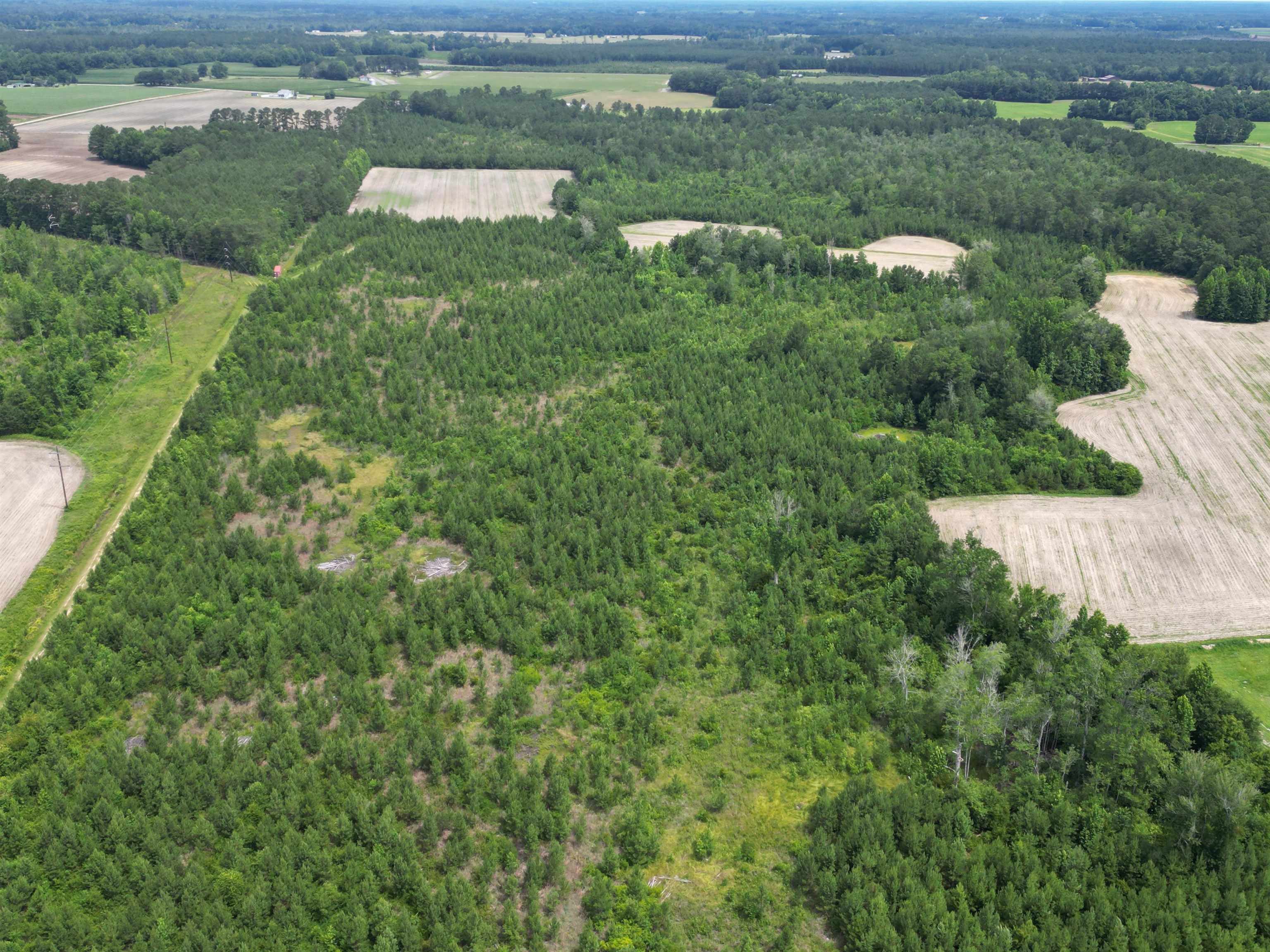 Tbd Church Road Green Sea, SC 29545 - Photo 10 of 19