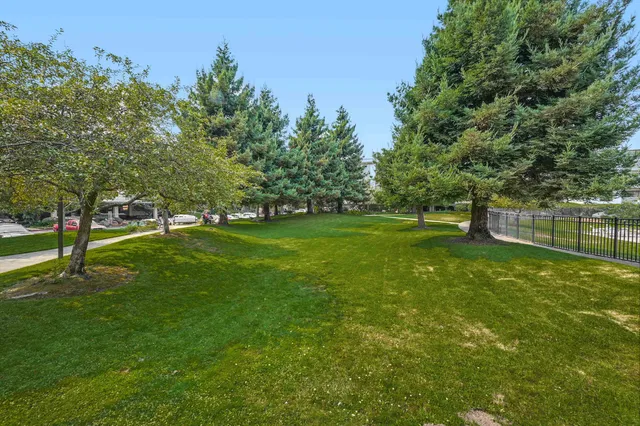 a view of a park with trees in the background