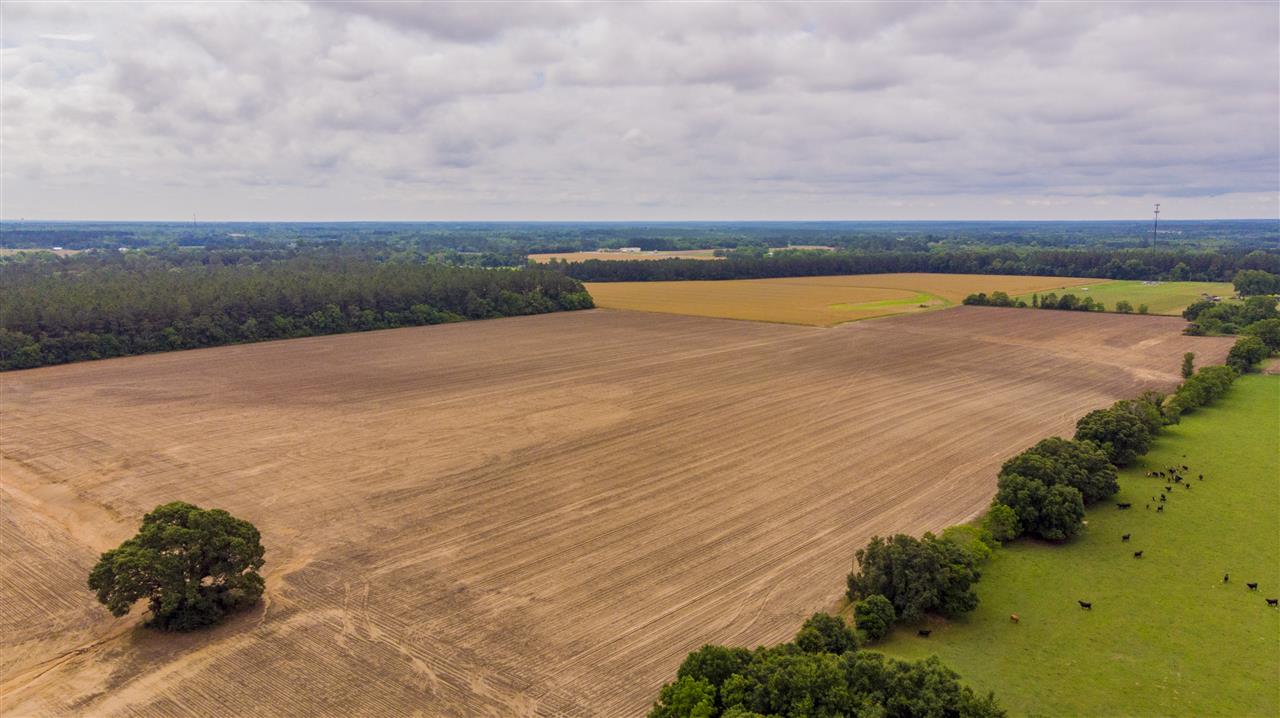23900 Flowers Road Robertsdale, AL 36567 - Photo 6 of 13