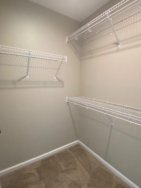 248 Trail Of Hawk Road Quitman, GA 31643 - Photo 20 of 23 Gallery Image 20