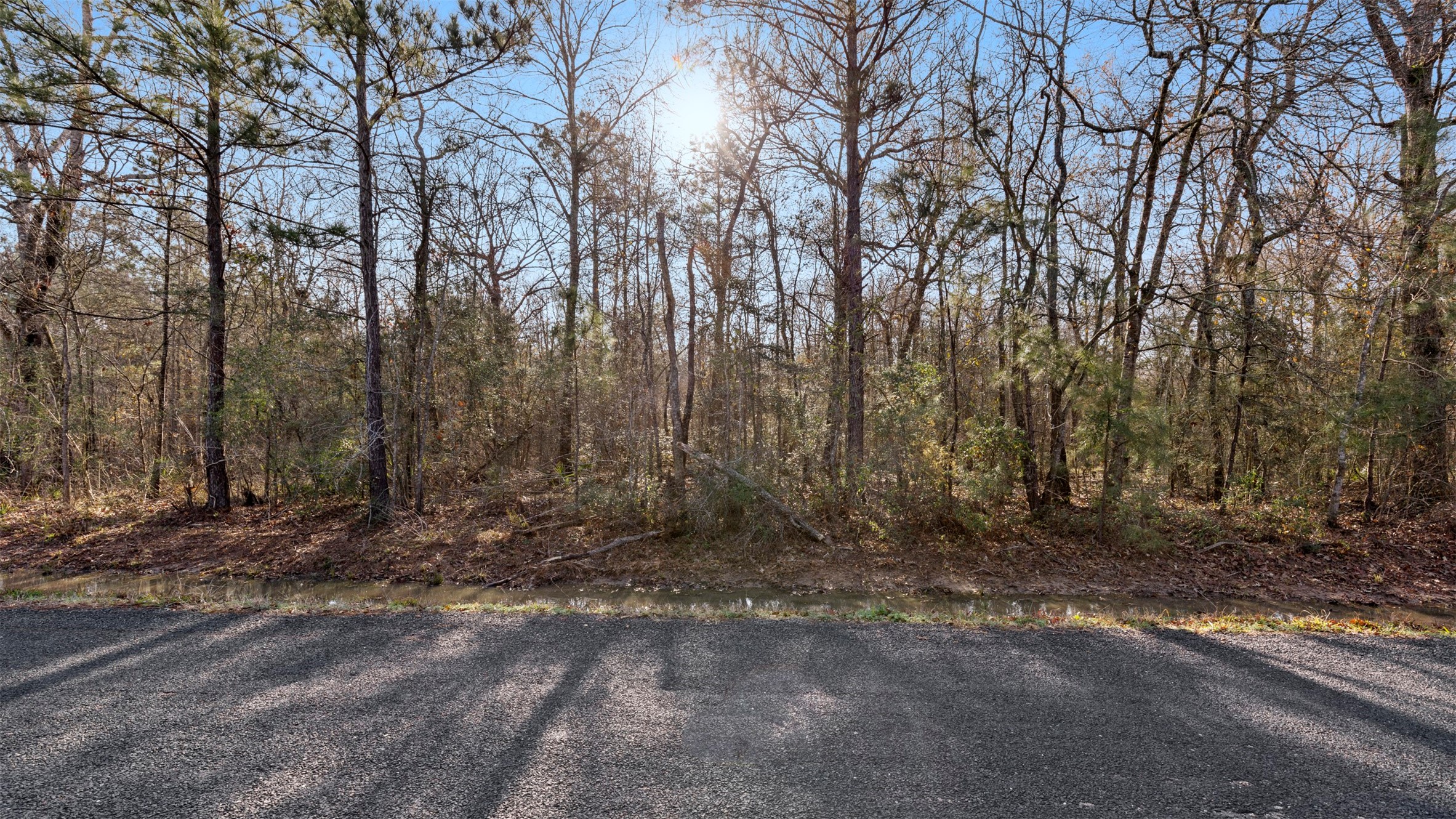 Tbd Rhonda Rosa Road Wallisville, TX 77597 - Photo 4 of 8