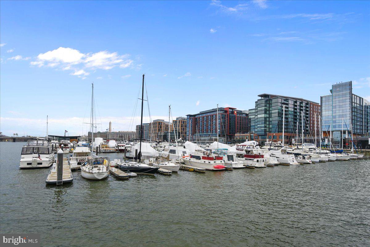 1250 4th Street Southwest, Unit W113 Washington, DC 20024 - Photo 47 of 70 Wharf