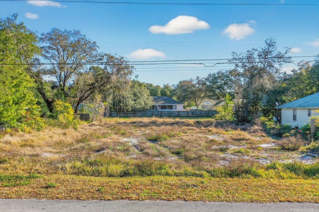 403 Segovia Road St. Augustine, FL 32086 - Photo 2 of 11 a view of a yard