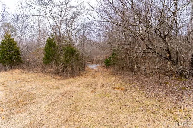 $1,100,000 | 14524 Us-67n, Williamsville, MO 63967