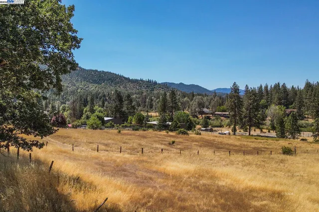 a view of a yard with a tree