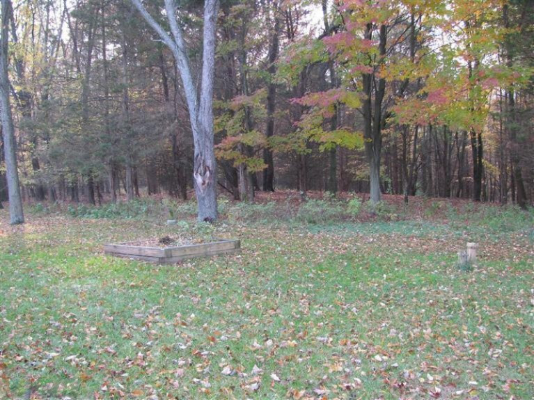 1530 Somers Road Lyons, MI 48851 - Photo 6 of 20 Additional Photo