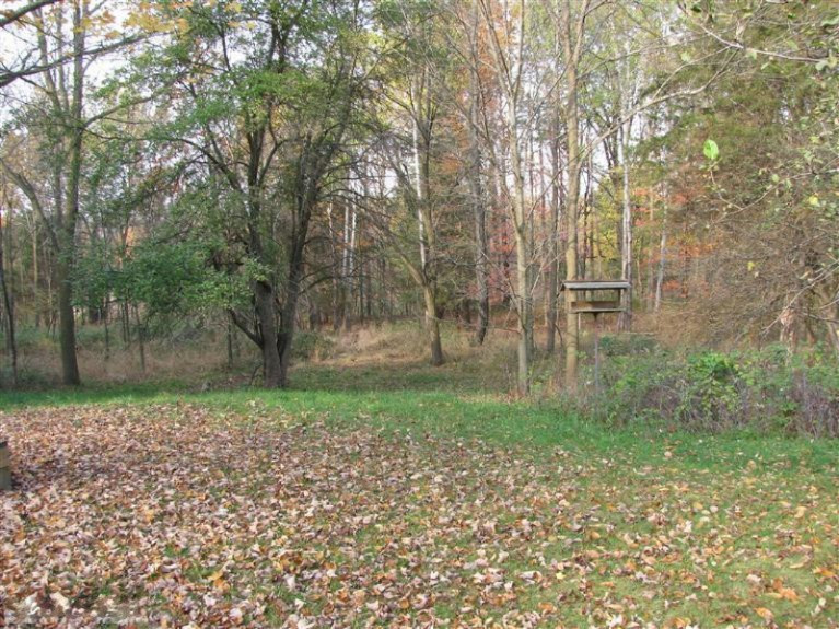 1530 Somers Road Lyons, MI 48851 - Photo 7 of 20 Additional Photo