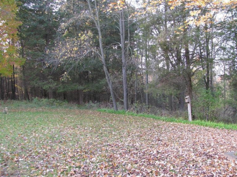 1530 Somers Road Lyons, MI 48851 - Photo 8 of 20 Additional Photo