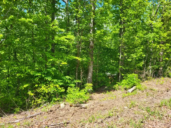 $1,400 | 23 A Thompsonville Lane, Unit 23A, Oak Grove, KY 42262