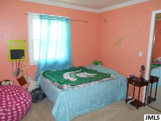 1280 Maple Grove Road Jackson, MI 49201 - Photo 13 of 30 Photo 13