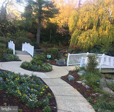 7651 Tremayne Place, Unit 202 McLean, VA 22102 - Photo 54 of 59 Stock Community Photo, Koi Pond