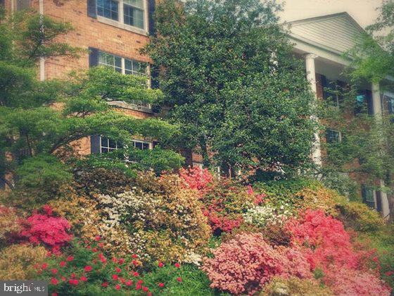 7651 Tremayne Place, Unit 202 McLean, VA 22102 - Photo 57 of 59 Stock Community Photo, Plants and Flowers