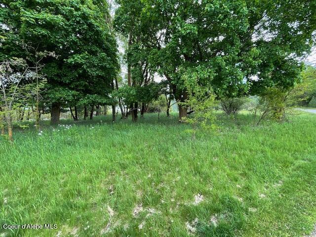 103 Commonwealth Court Kellogg, ID 83837 - Photo 2 of 5 103 Commonwealth