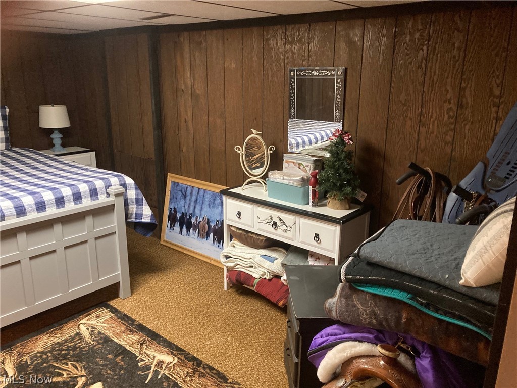 202 Ridgewood Boulevard Minerva, OH 44657 - Photo 27 of 38 mult-use space in lower level
