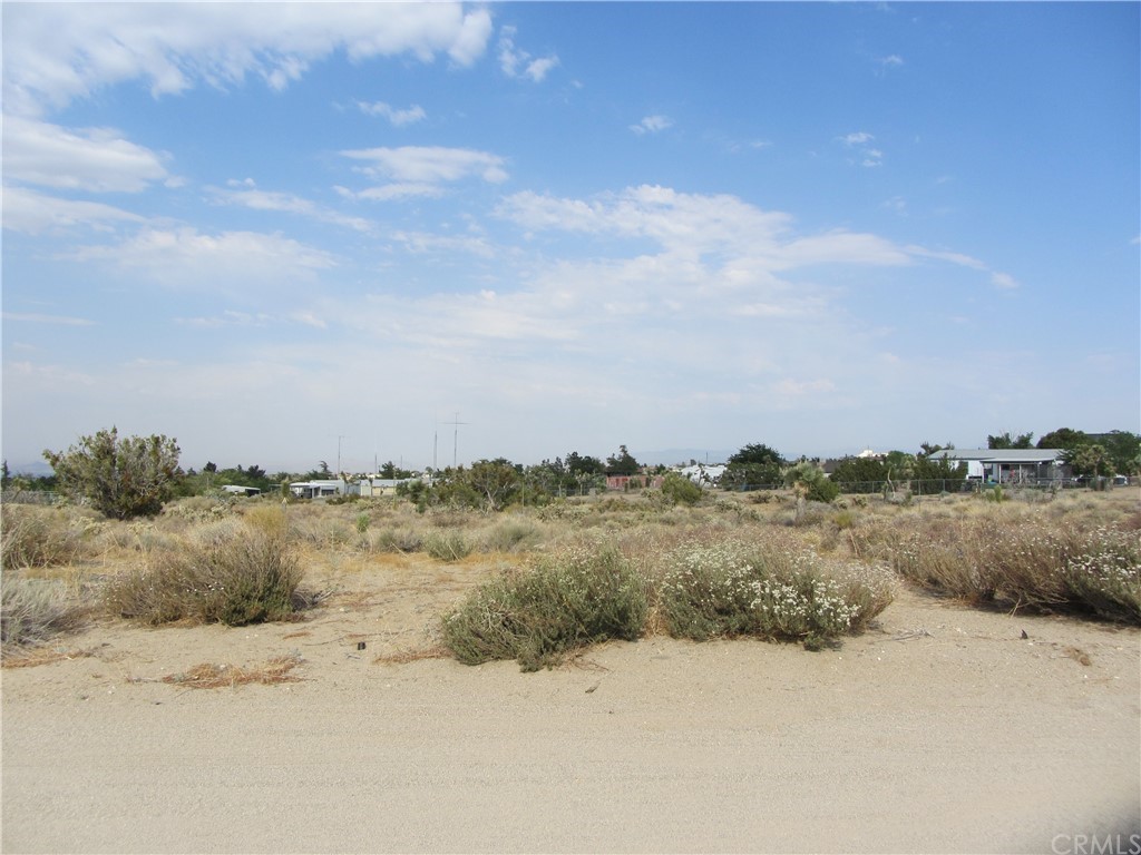 0 Burbank Road Pinon Hills, CA 92372 - Photo 1 of 1