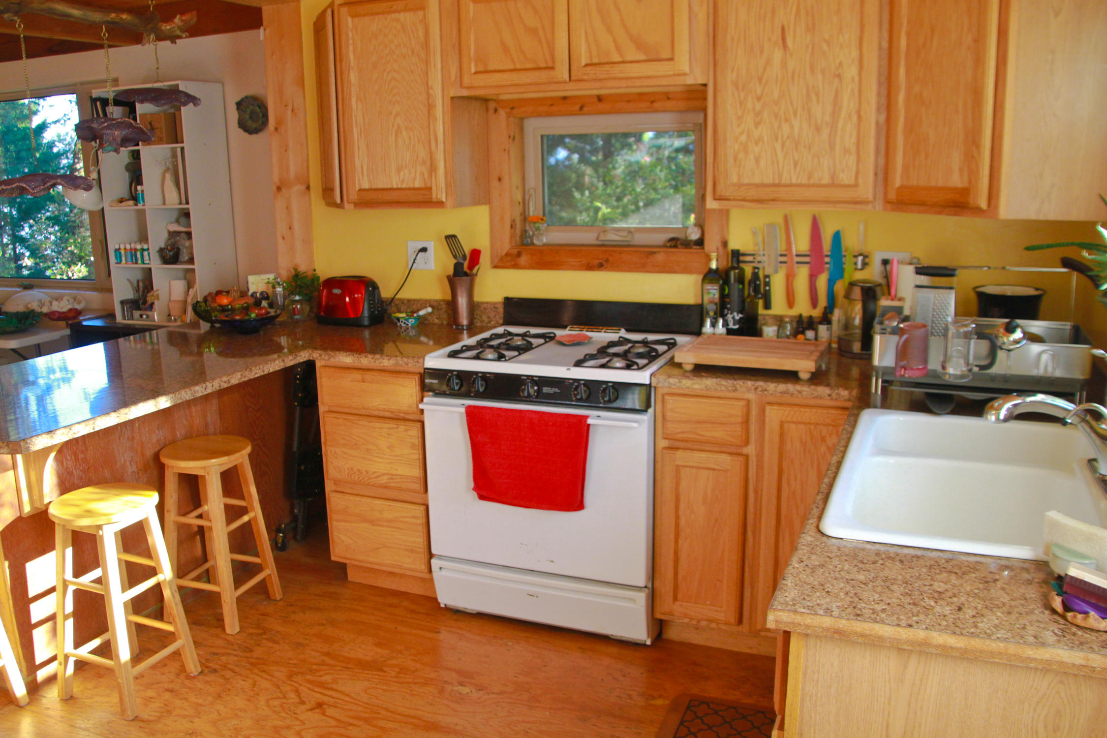 3900 Red Rock Road Benbow, CA 95542 - Photo 25 of 102 RRF-4