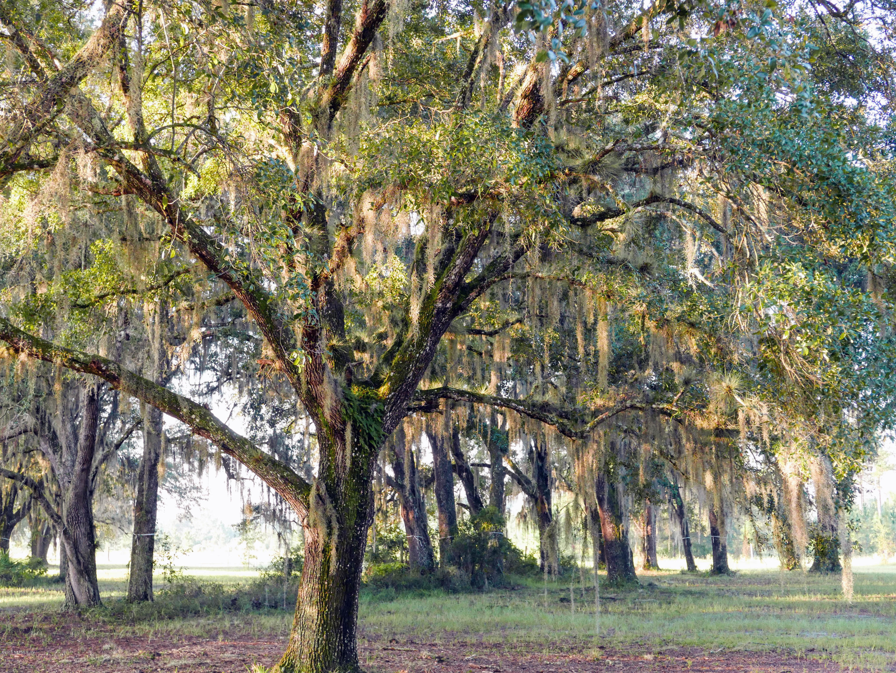 120 Split Oak Road St. Augustine, FL 32092 - Photo 24 of 33 L1020796