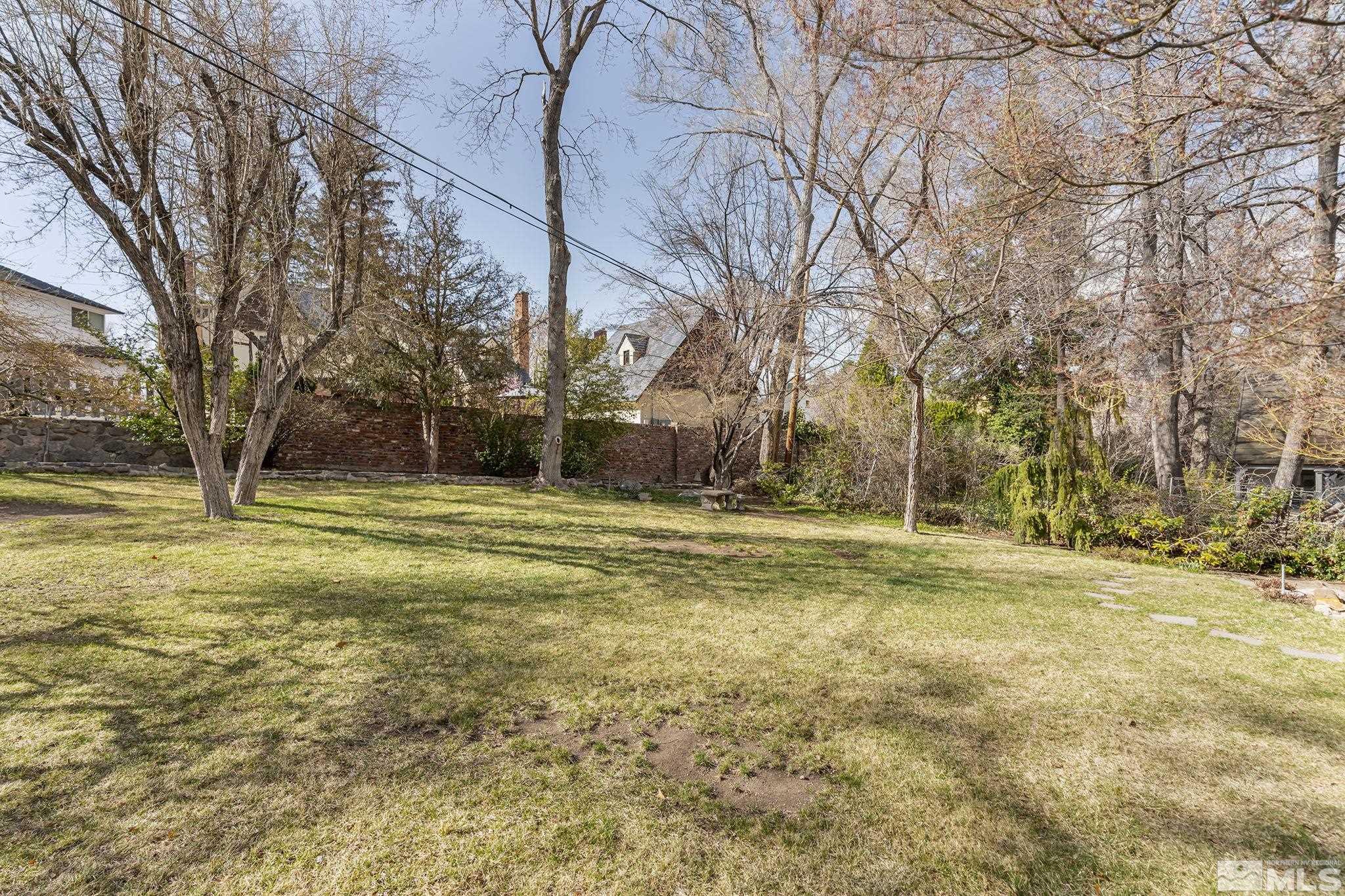 751 Marsh Avenue Reno, NV 89509 - Photo 33 of 39 a view of large trees with yard