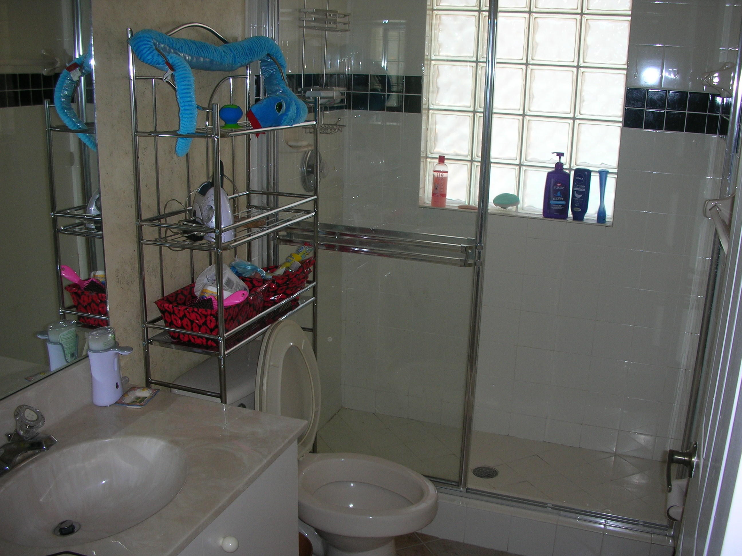 8886 Thames River Drive Boca Raton, FL 33433 - Photo 6 of 24 2nd Bathroom