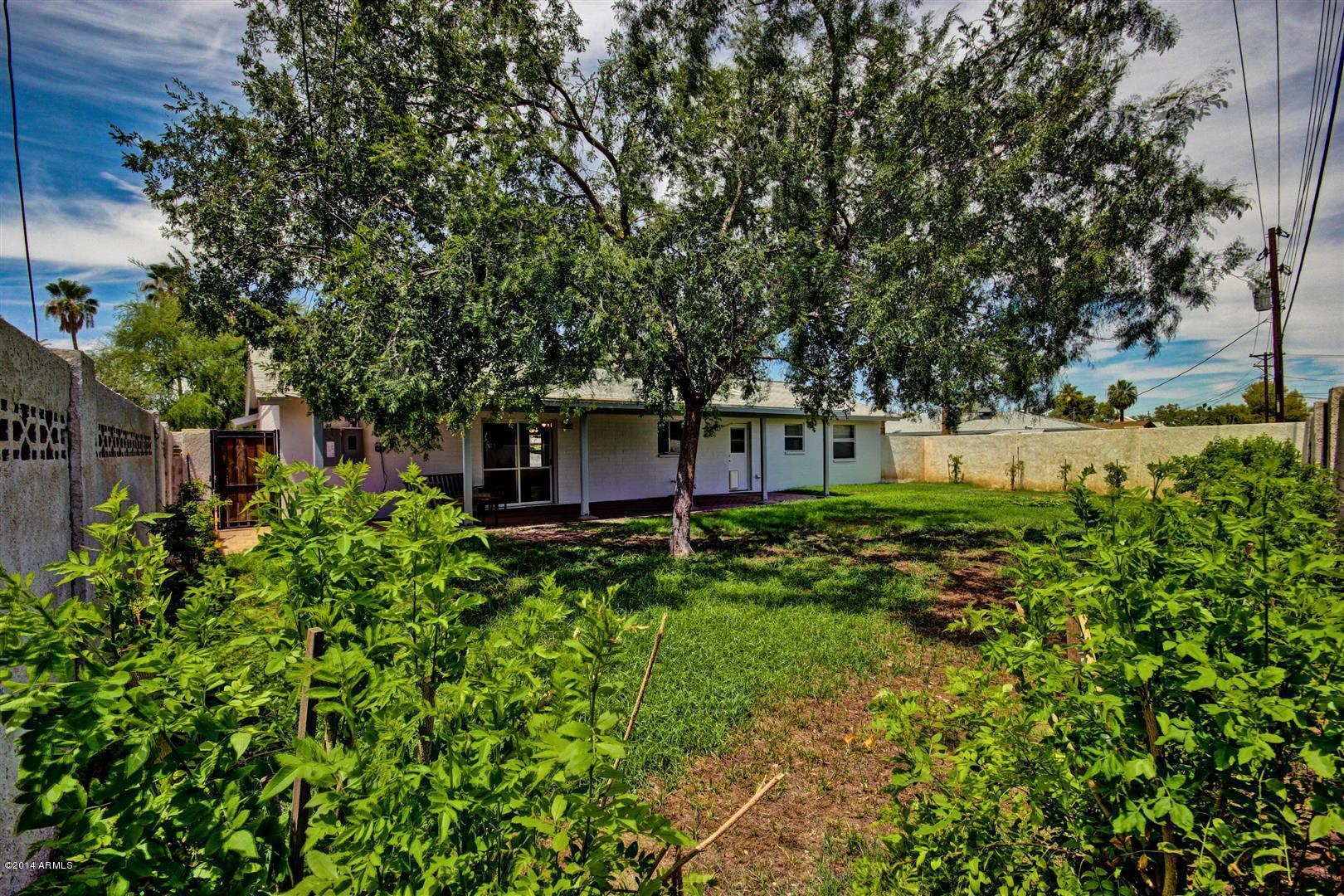 3503 South Terrace Road Tempe, AZ 85282 - Photo 25 of 41 25 Backyard 2 E