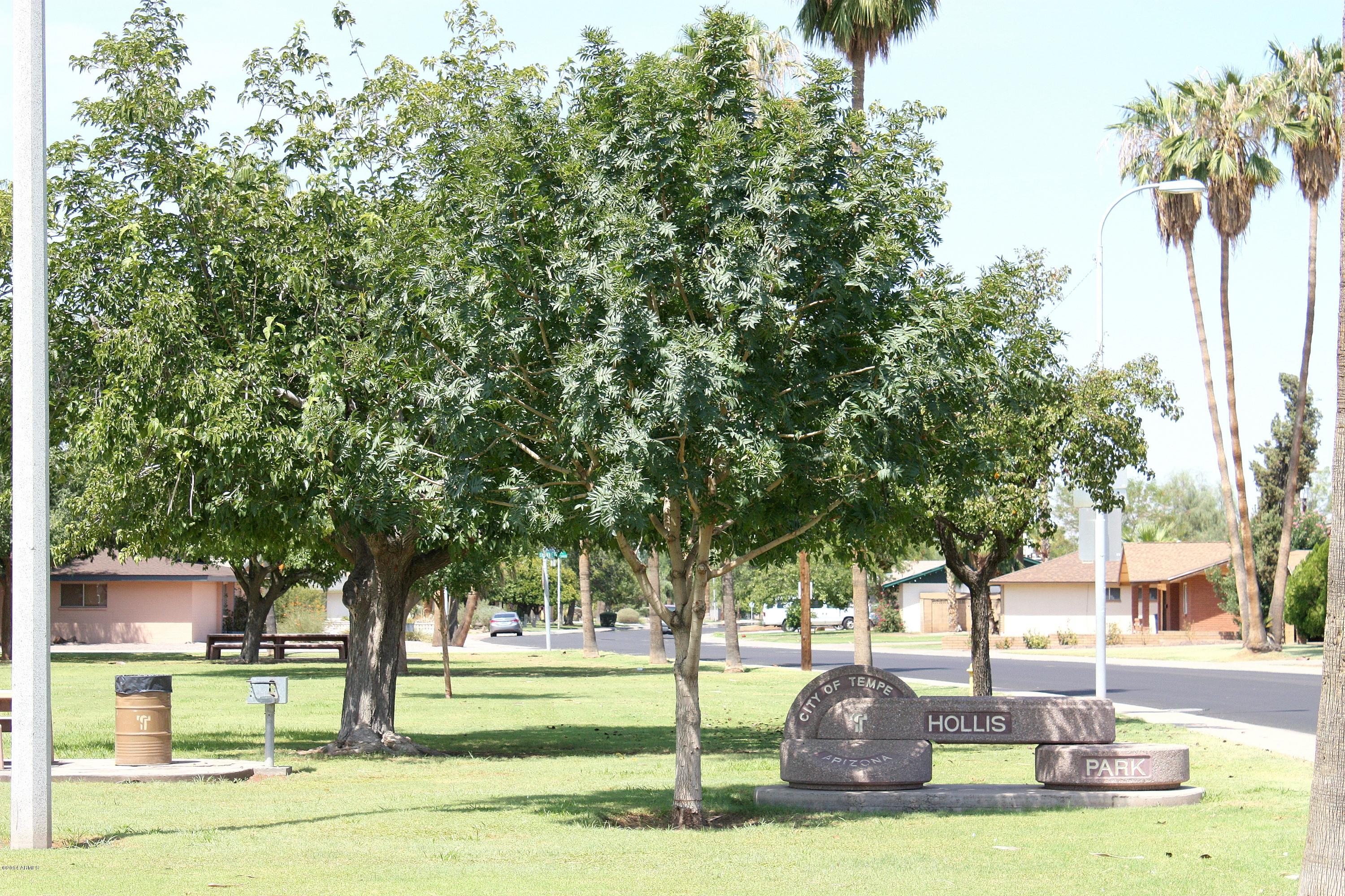 3503 South Terrace Road Tempe, AZ 85282 - Photo 29 of 41 29 Hollis Park 9
