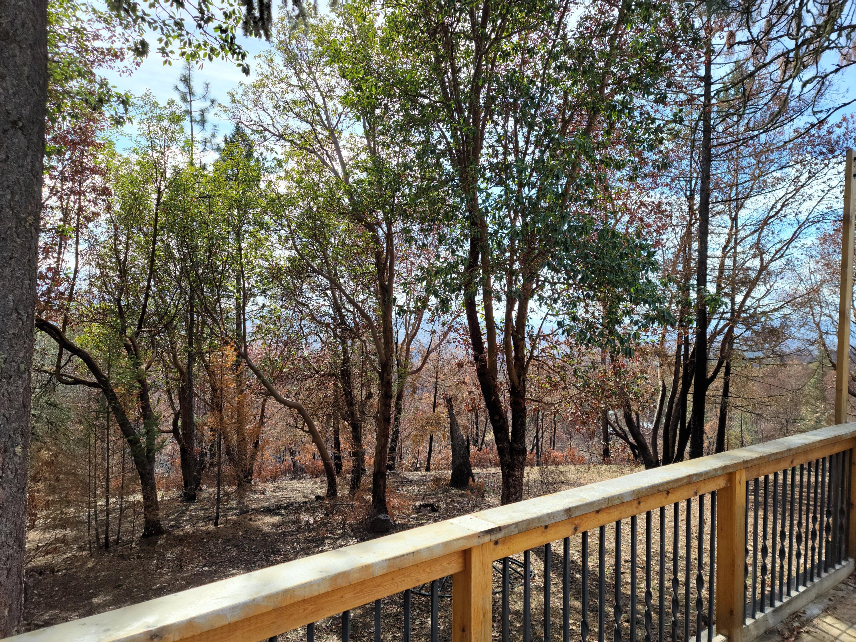 12345 North Obenchain Road Eagle Point, OR 97524 - Photo 14 of 71 off deck pic 1
