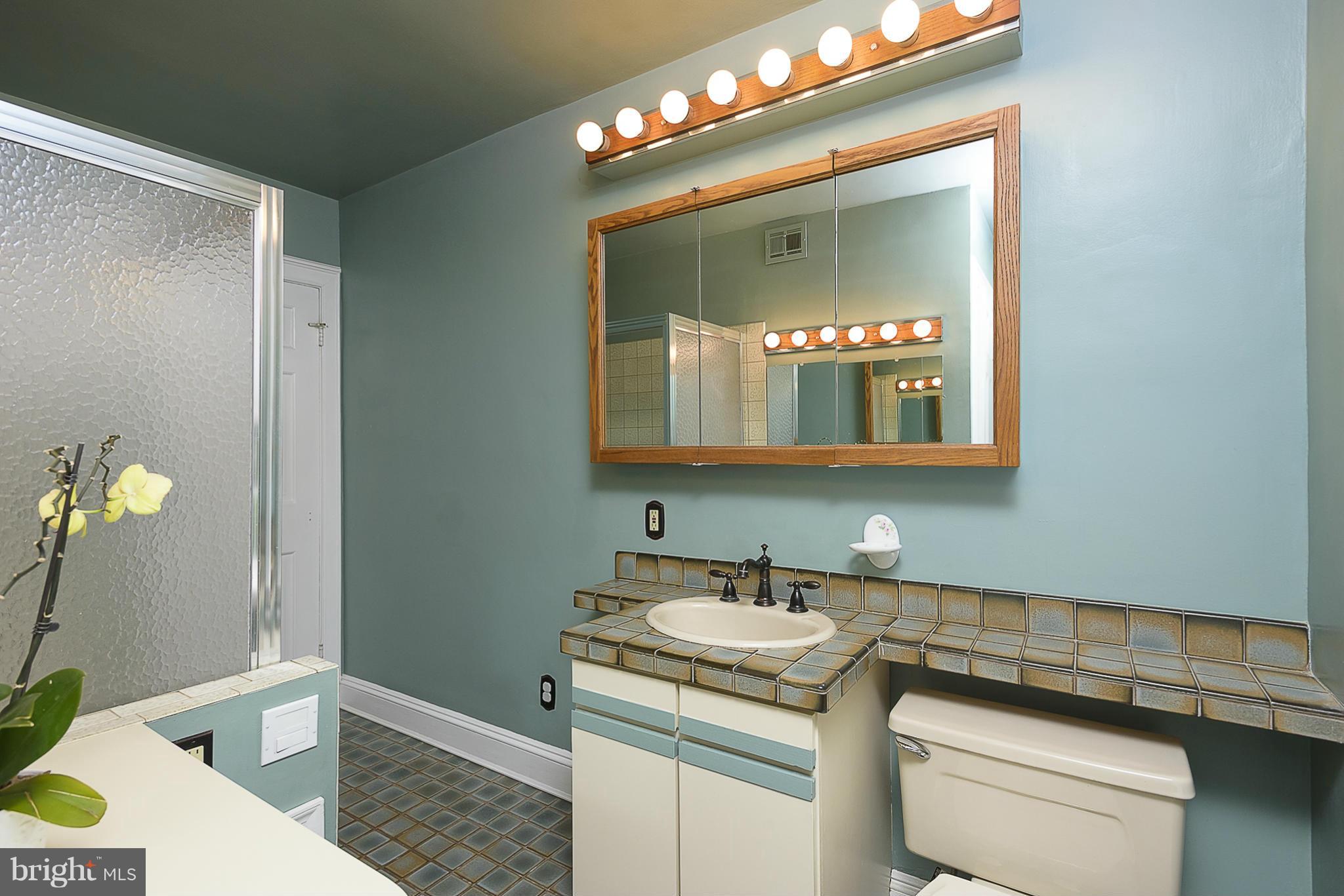 2407 Pickwick Road Baltimore, MD 21207 - Photo 18 of 30 Bath (Master)