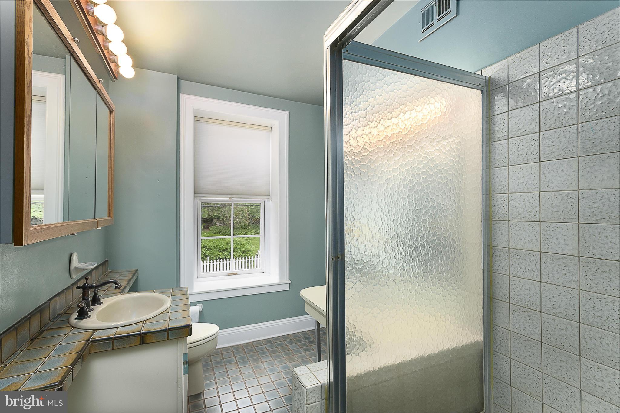 2407 Pickwick Road Baltimore, MD 21207 - Photo 19 of 30 Bath (Master)