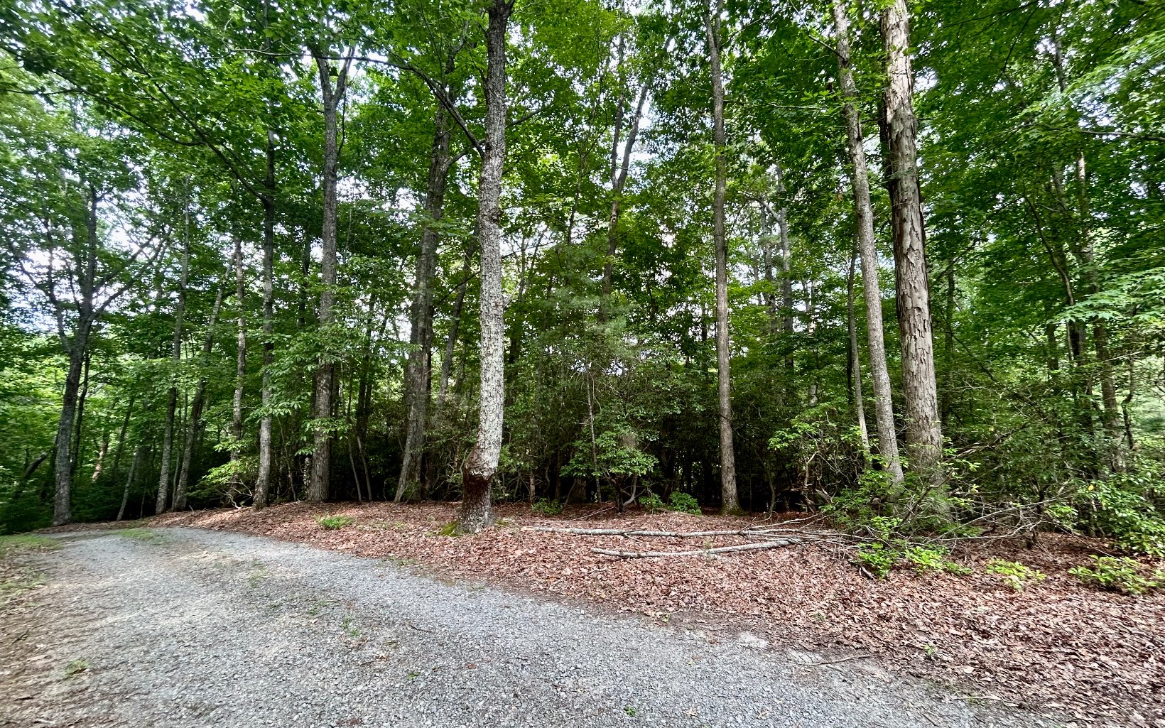 G-79 Ridge View Road Ellijay, GA 30536 - Photo 5 of 11 Additional View