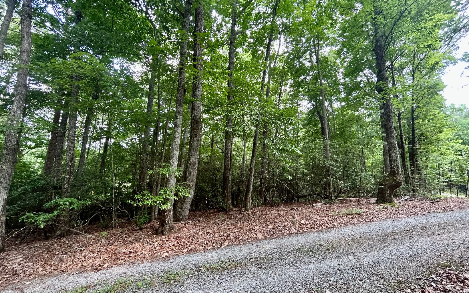 G-79 Ridge View Road Ellijay, GA 30536 - Photo 6 of 11 Additional View