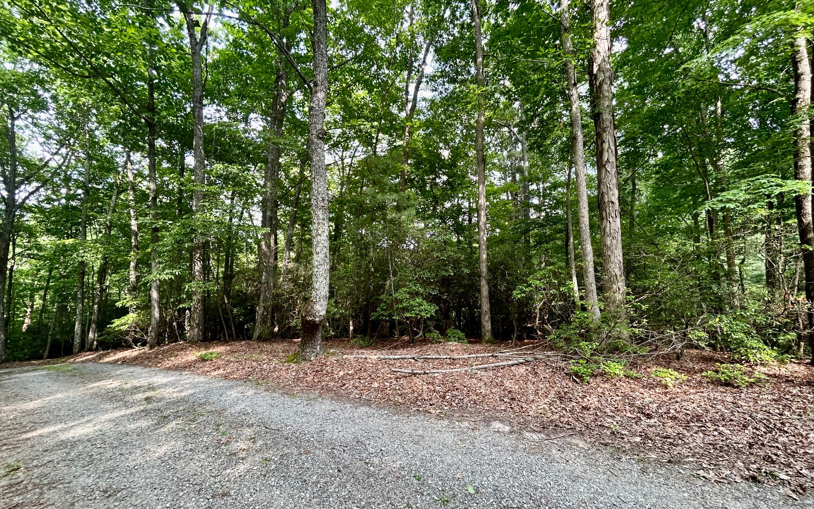 G-79 Ridge View Road Ellijay, GA 30536 - Photo 7 of 11 Additional View