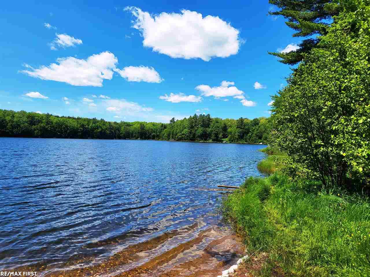 0 Engman Lake Access Road Skandia, MI 49885 - Photo 1 of 17