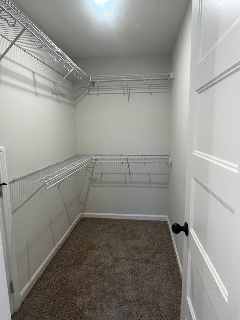 1256 Boulder Pass Road Clarksville, TN 37040 - Photo 14 of 20 Gallery Image 14