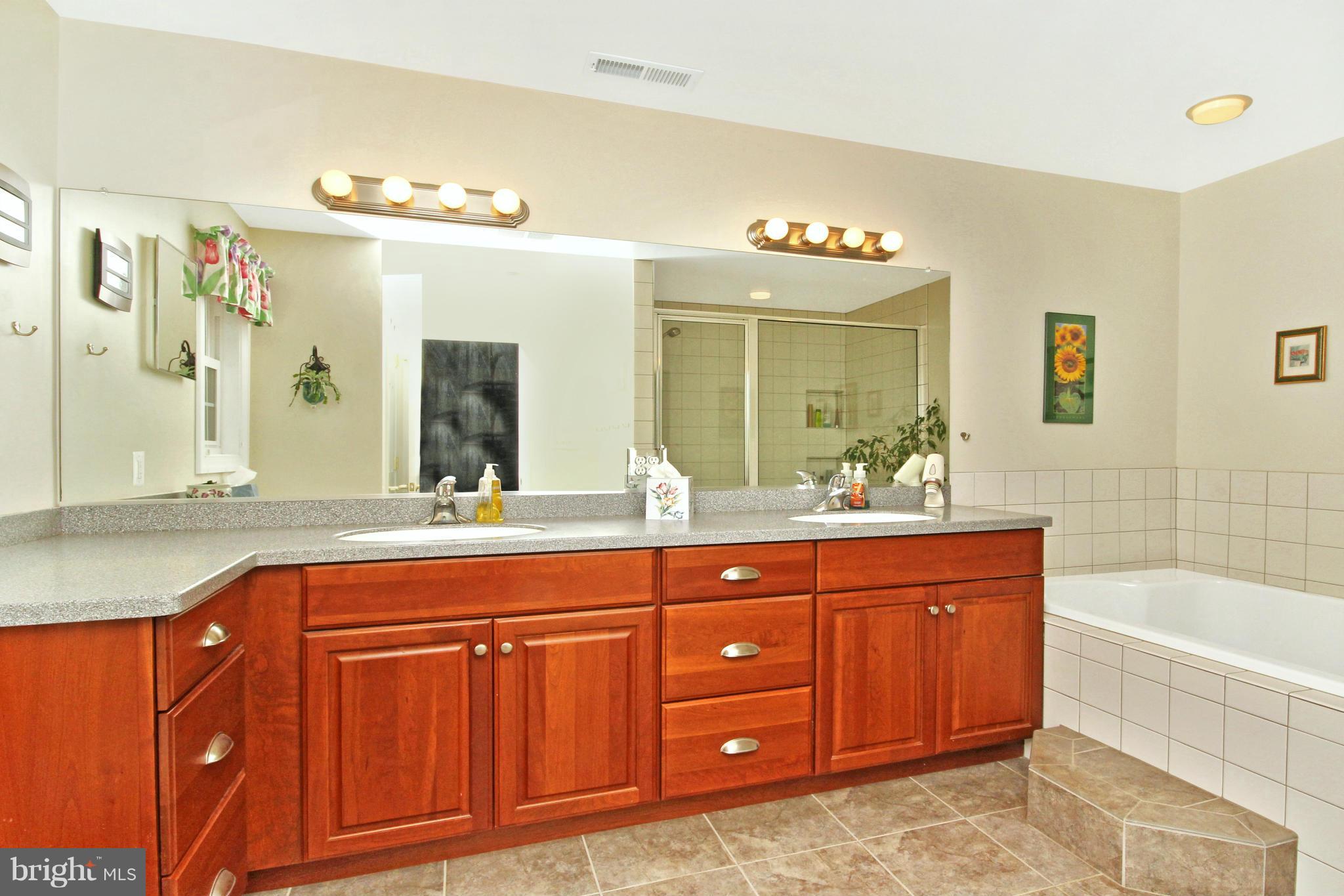 29210 Ridge Road Mount Airy, MD 21771 - Photo 21 of 24 Bath