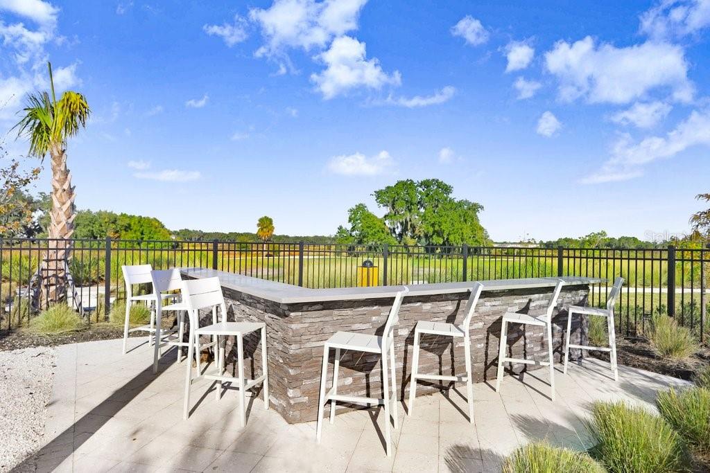 2401 Lanier Road Zephyrhills, FL 33541 - Photo 45 of 63