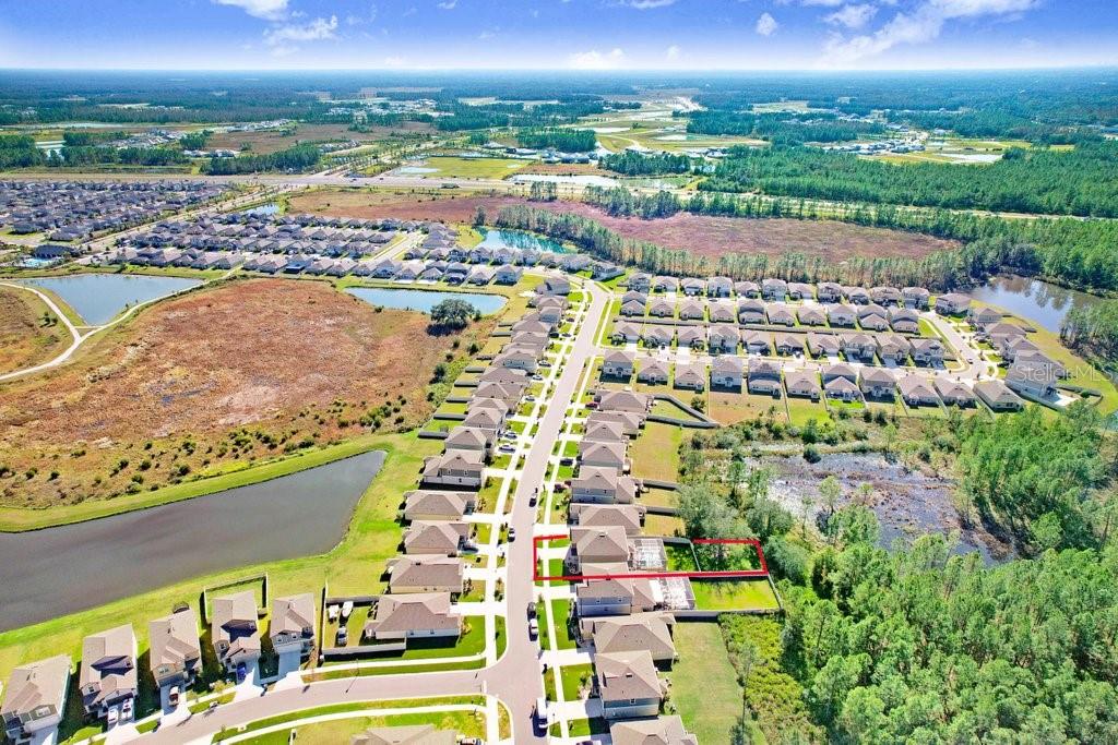 2401 Lanier Road Zephyrhills, FL 33541 - Photo 60 of 63