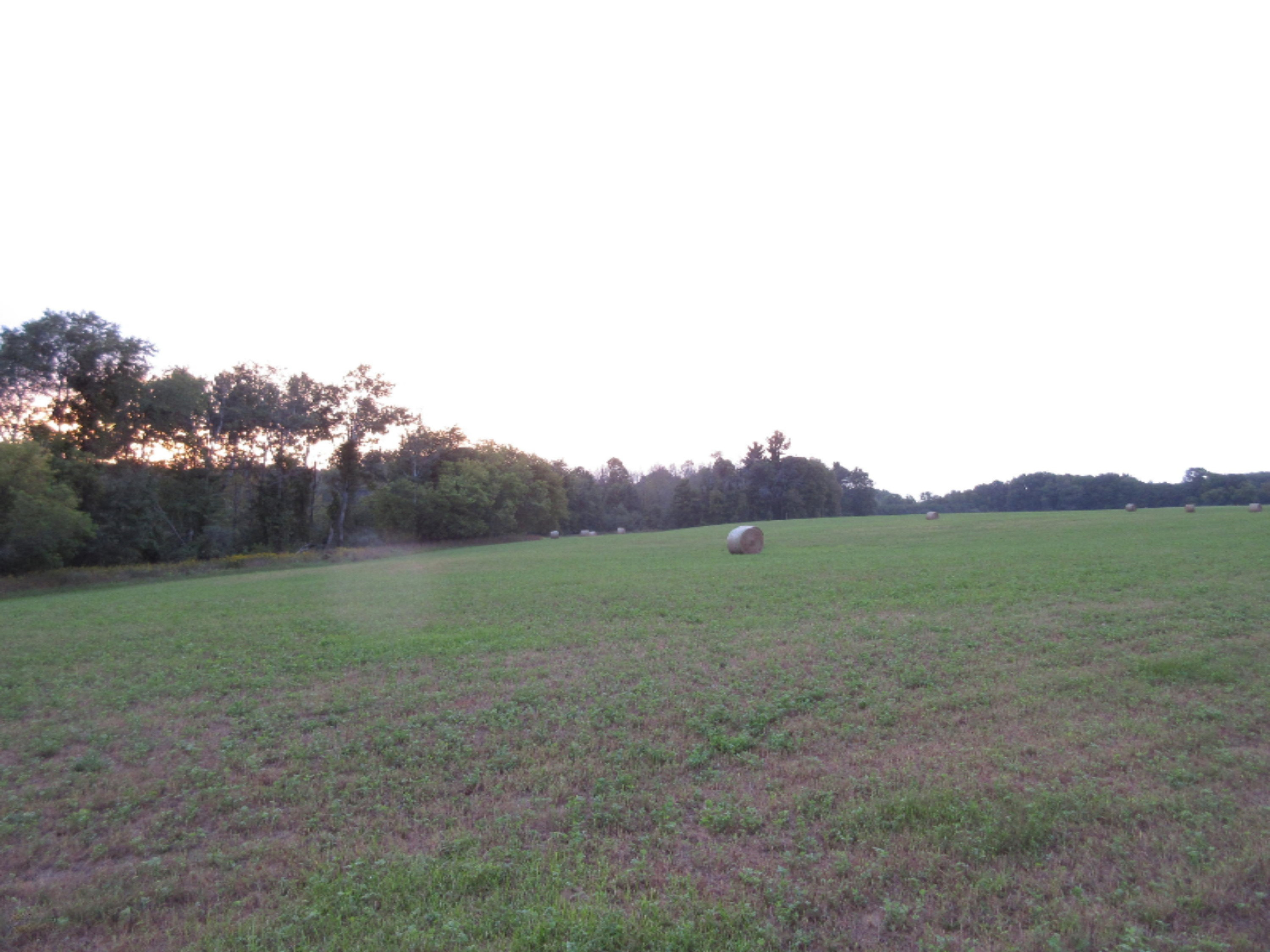 0 South Ferris Road Greenville, MI 48838 - Photo 14 of 14 IMG_3383