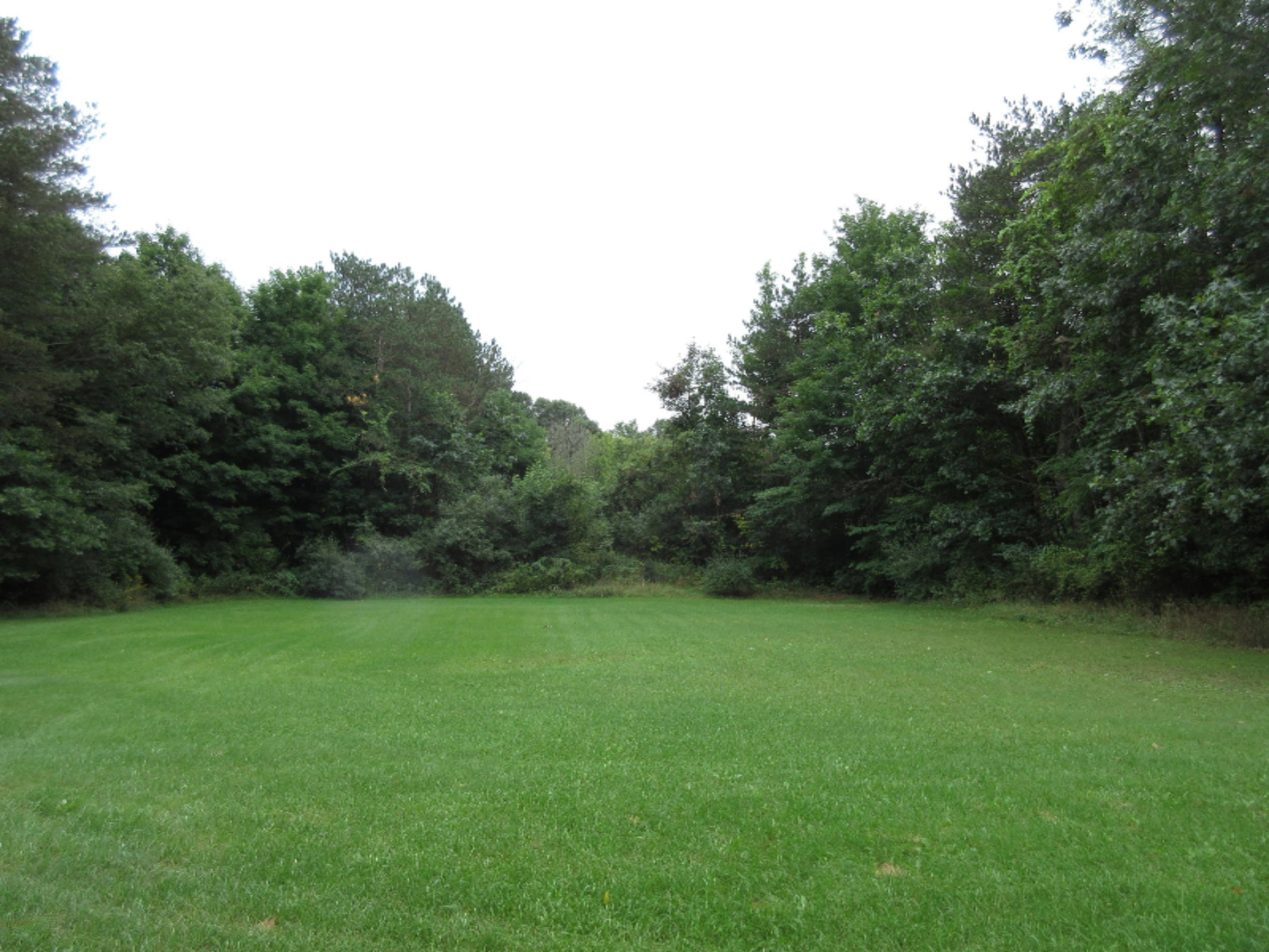 0 South Ferris Road Greenville, MI 48838 - Photo 3 of 14 IMG_3369