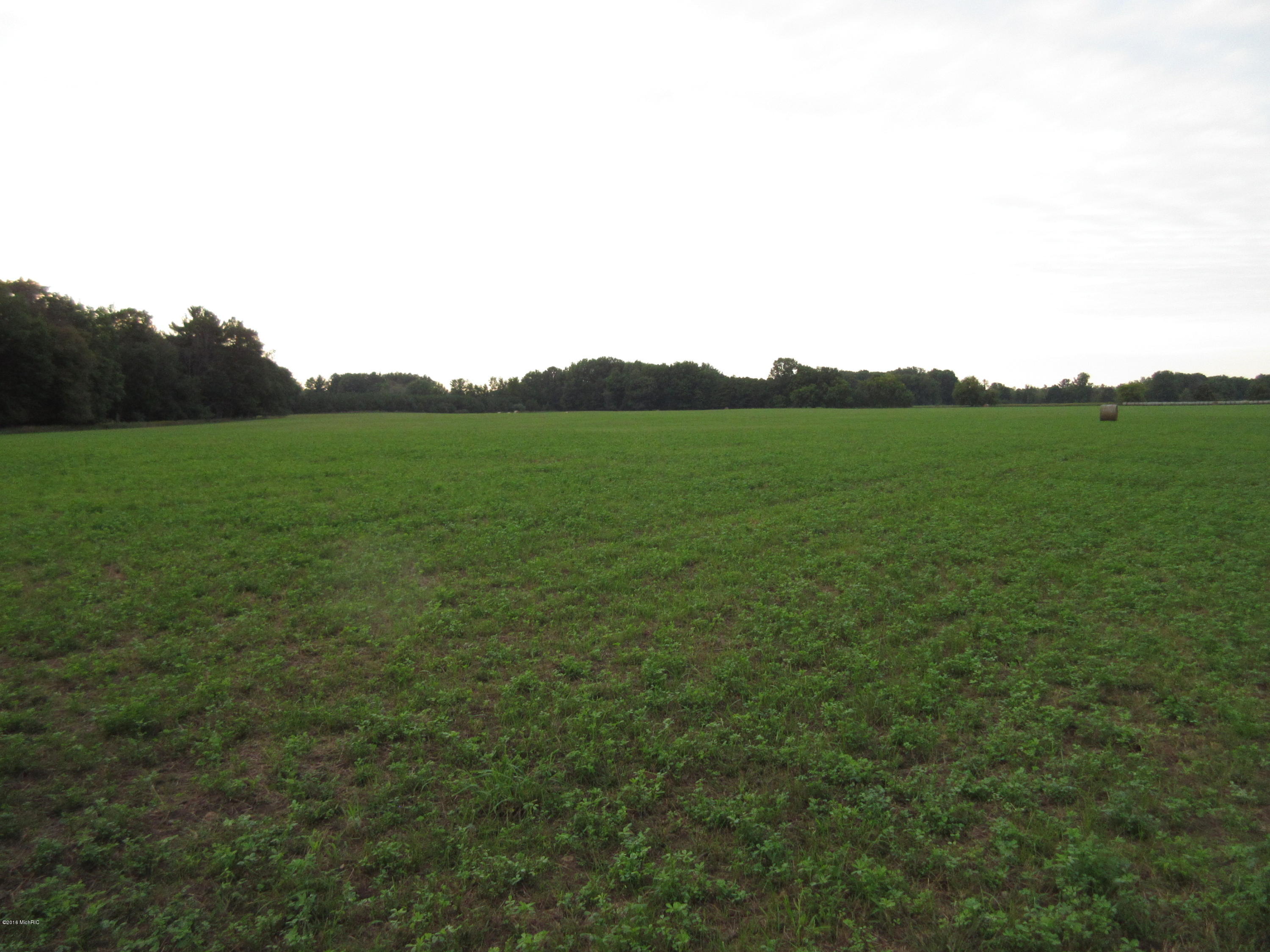 0 South Ferris Road Greenville, MI 48838 - Photo 6 of 14 IMG_3374