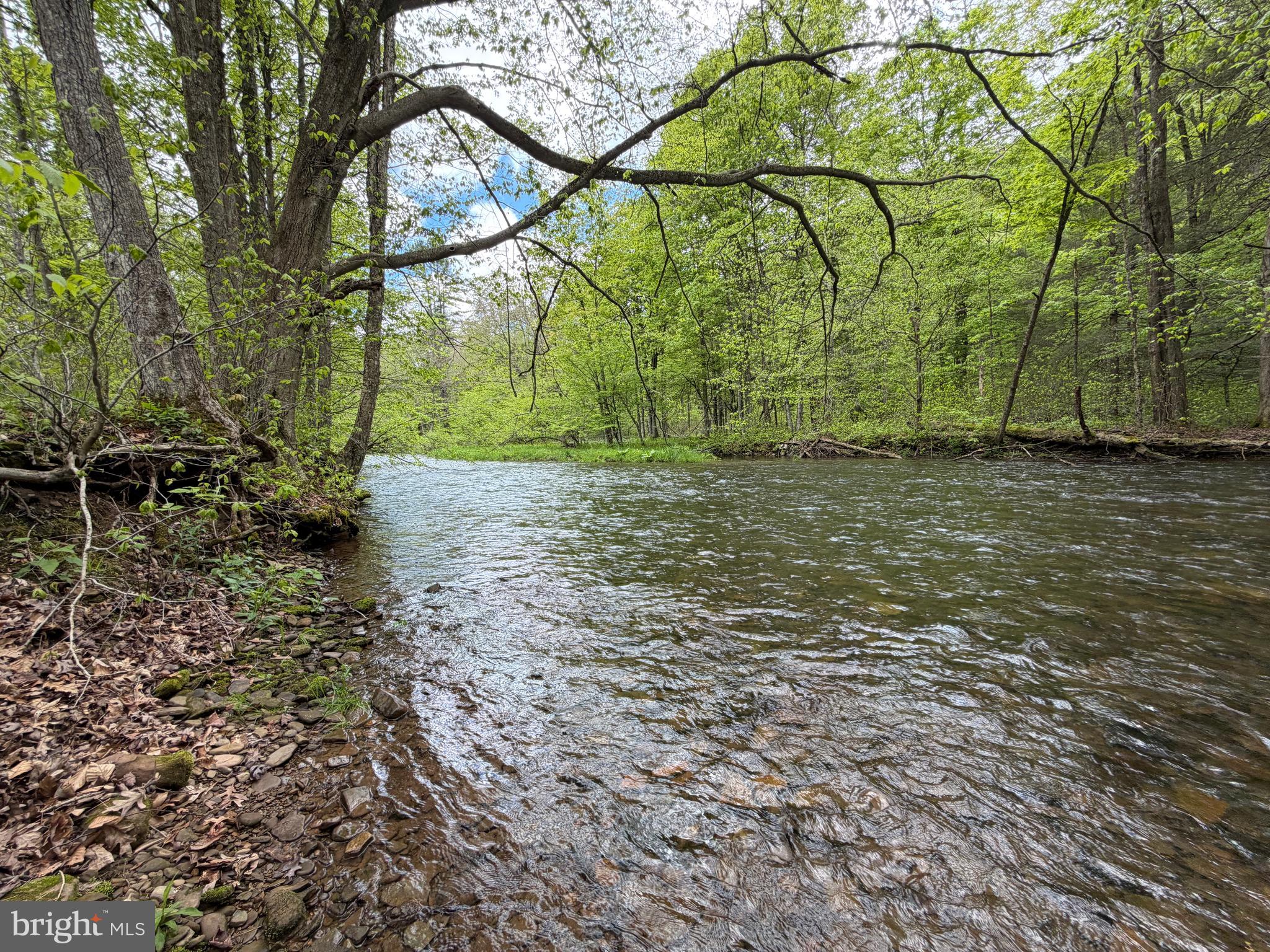 1227 Cross Fork Creek Road Cross Fork, PA 17729 - Photo 80 of 139