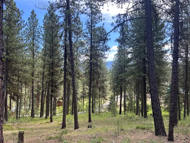 $79,000 | Tbd Syringa Drive, Unit 5, New Meadows, ID 83654