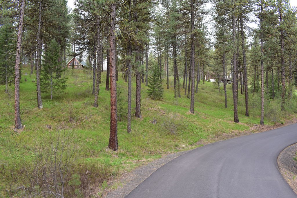 Tbd Syringa Drive, Unit 5 New Meadows, ID 83654 - Photo 2 of 12