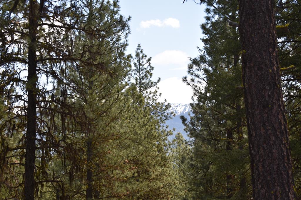 Tbd Syringa Drive, Unit 5 New Meadows, ID 83654 - Photo 3 of 12